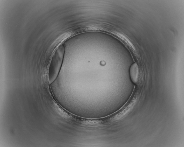 X0000112770801200909101550