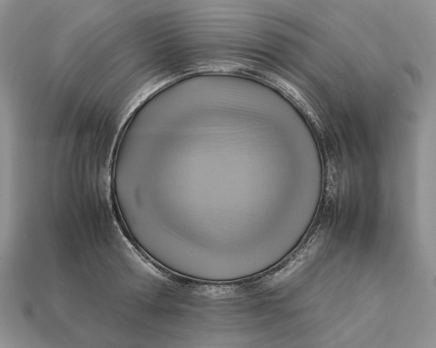 X0000112770802200909101550