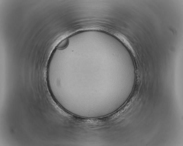 X0000112770805200909101550