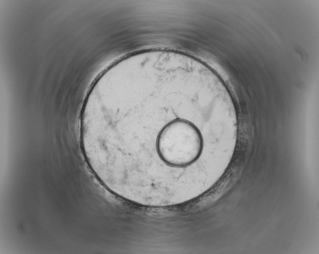 X0000112770807200909101550