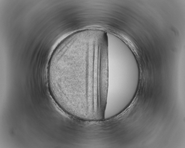 X0000112770808200909101550