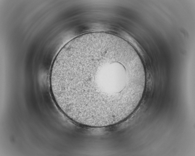 X0000112770810200909101550