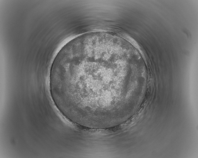 X0000112770811200909101550