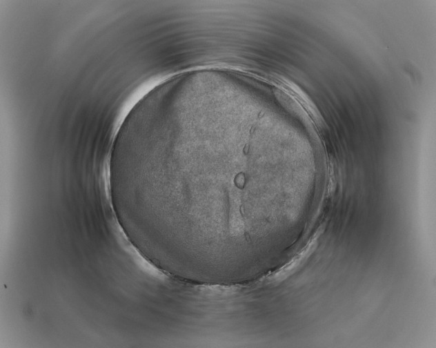 X0000112770812200909101550