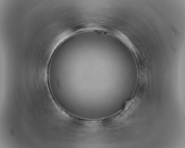 X0000112770813200909101550