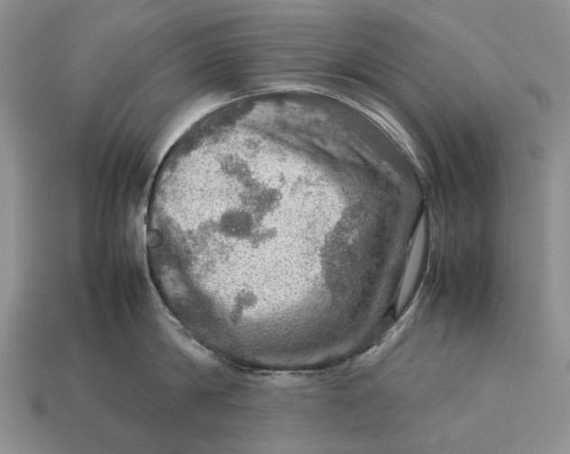 X0000112770814200909101550