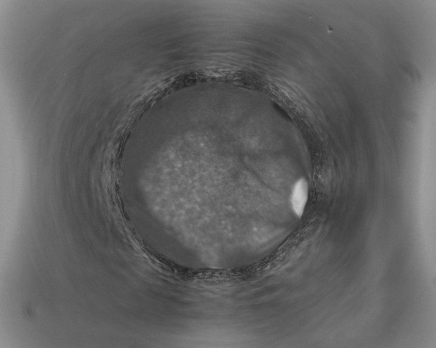 X0000112770817200909101549