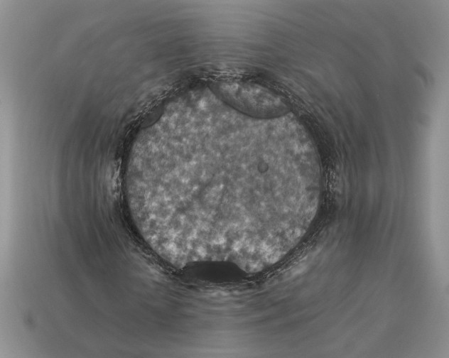 X0000112770818200909101549