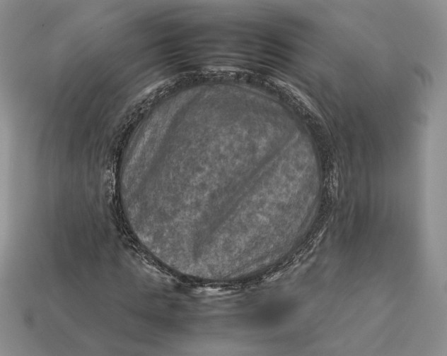 X0000112770821200909101549