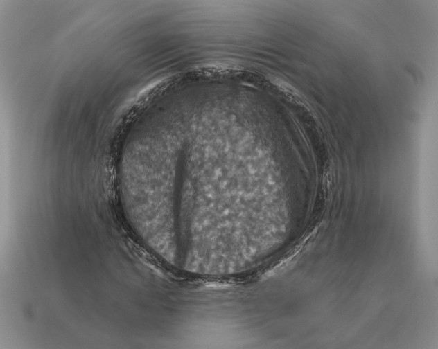 X0000112770822200909101549