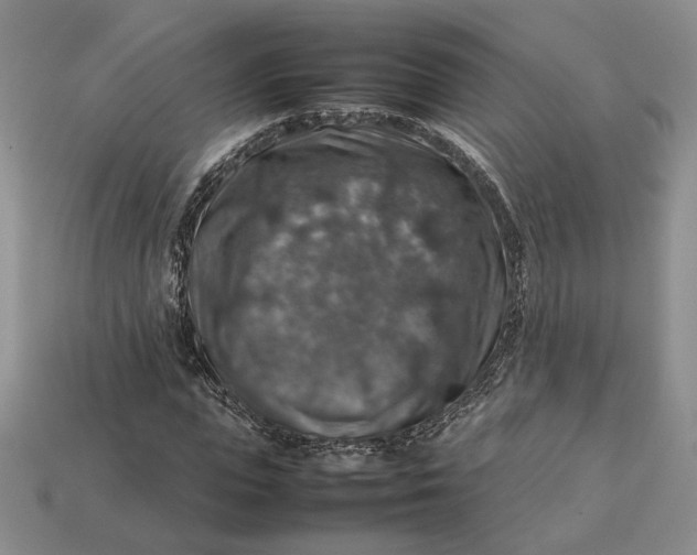 X0000112770823200909101549