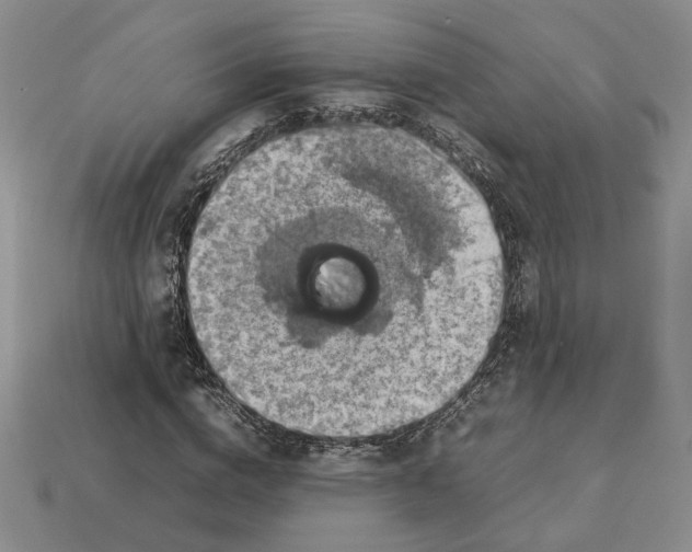 X0000112770824200909101549