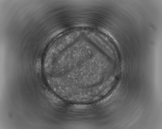 X0000112770825200909101549