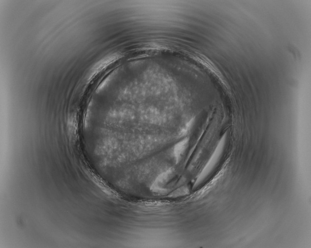 X0000112770826200909101549