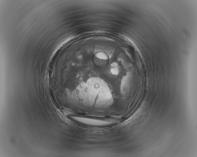 X0000112770827200909101549