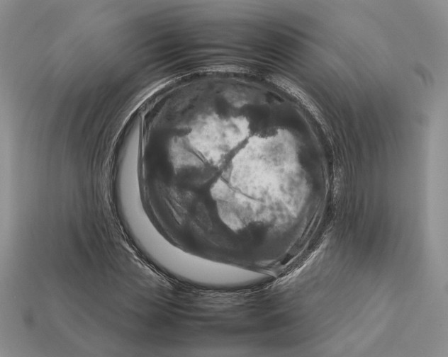 X0000112770829200909101549