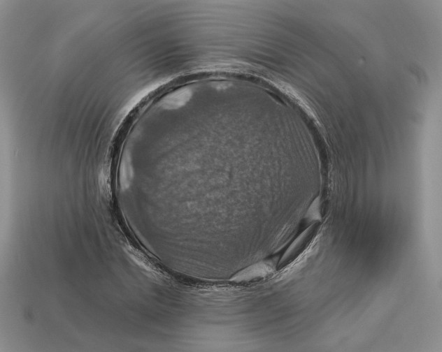 X0000112770830200909101549