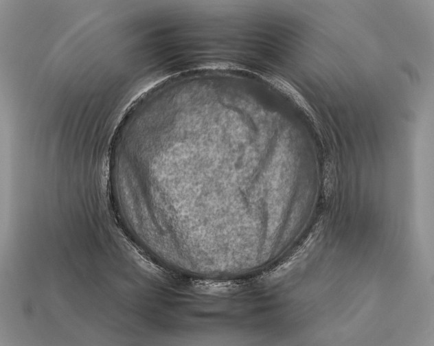 X0000112770831200909101549