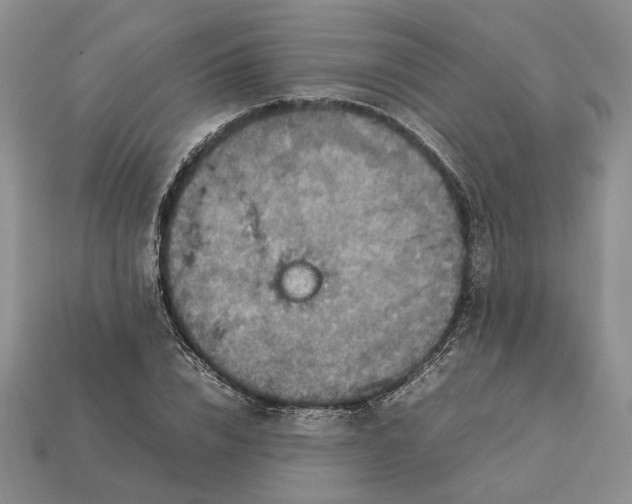 X0000112770832200909101549