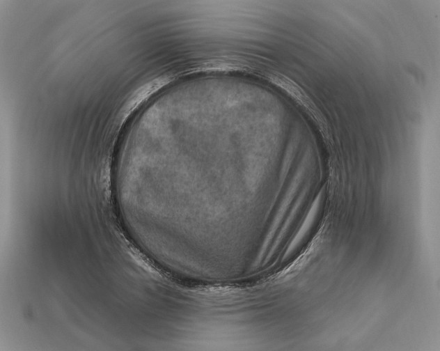 X0000112770834200909101549