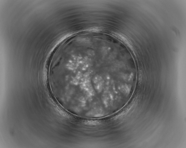 X0000112770835200909101549