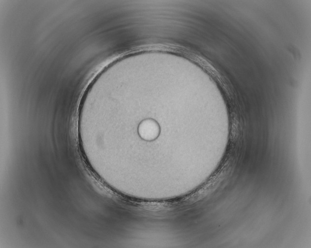 X0000112770836200909101549