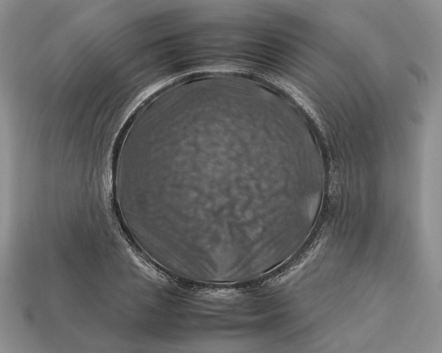 X0000112770837200909101549