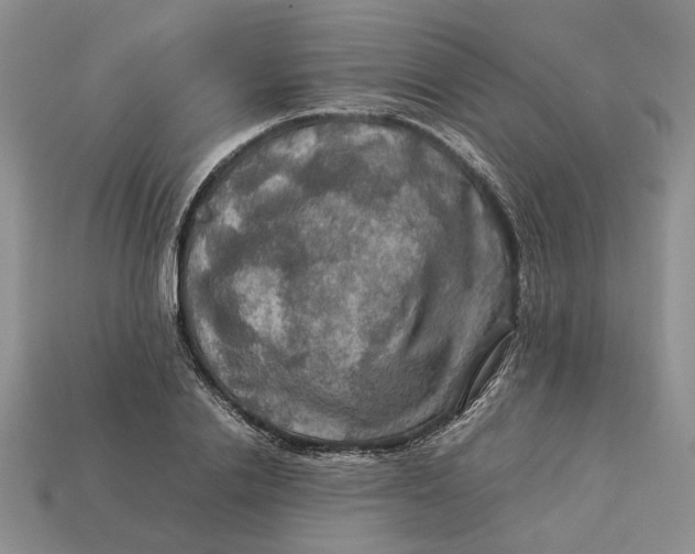 X0000112770838200909101549