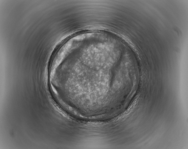 X0000112770840200909101549