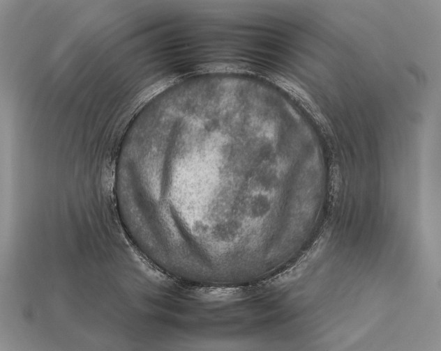 X0000112770841200909101549