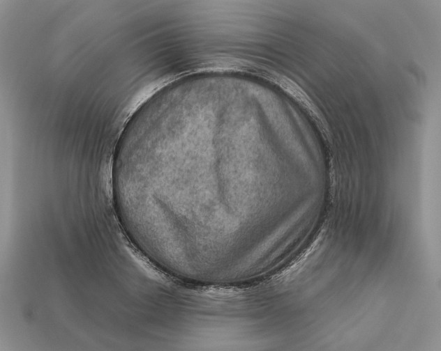 X0000112770842200909101549