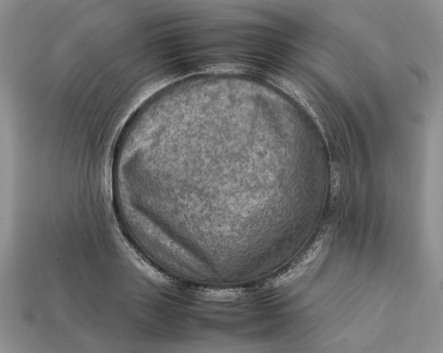 X0000112770843200909101549