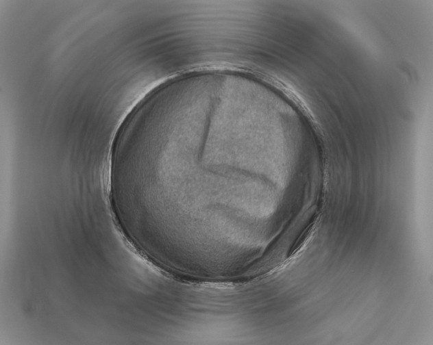 X0000112770844200909101549