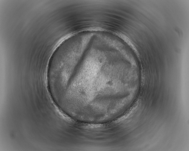 X0000112770845200909101549