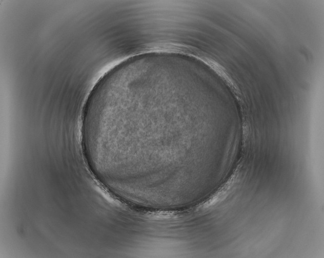 X0000112770846200909101549