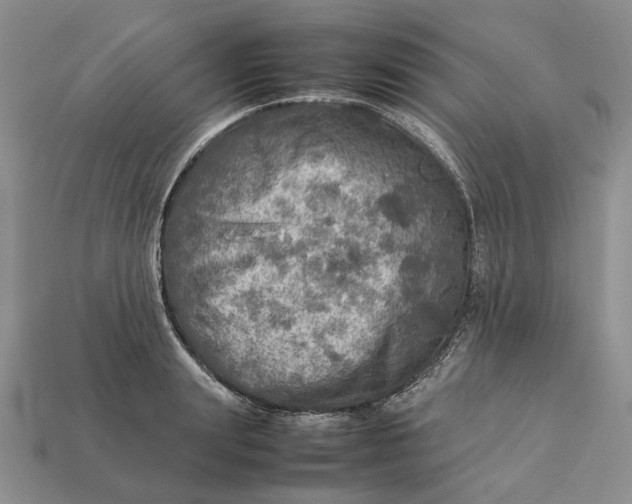 X0000112770847200909101549