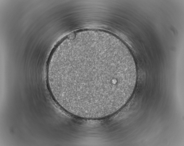 X0000112770848200909101549