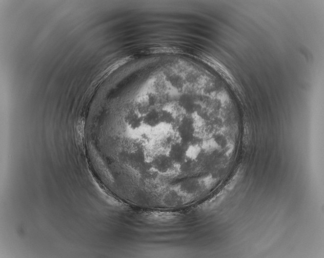 X0000112770849200909101549