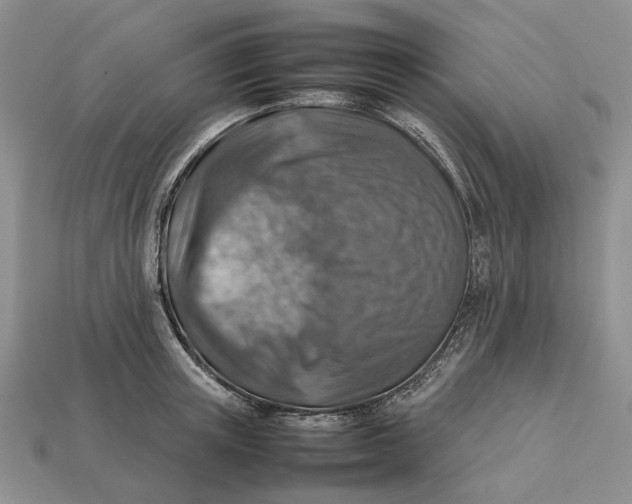 X0000112770851200909101549