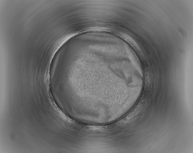 X0000112770852200909101549