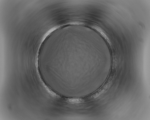 X0000112770853200909101549