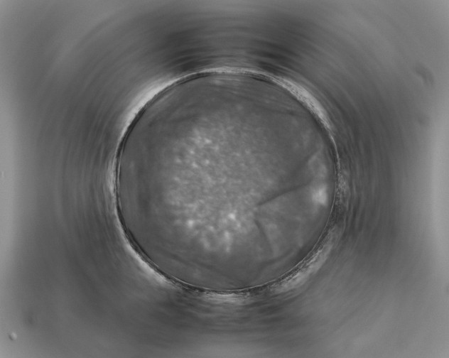 X0000112770855200909101549