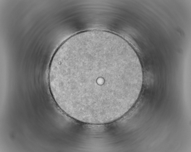 X0000112770856200909101549