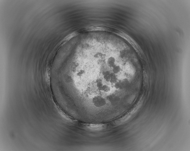 X0000112770857200909101549