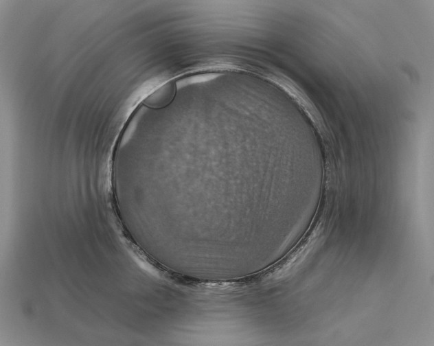 X0000112770858200909101549