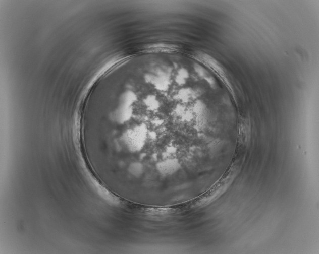 X0000112770859200909101549