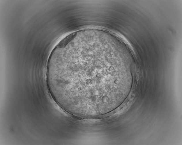 X0000112770860200909101549