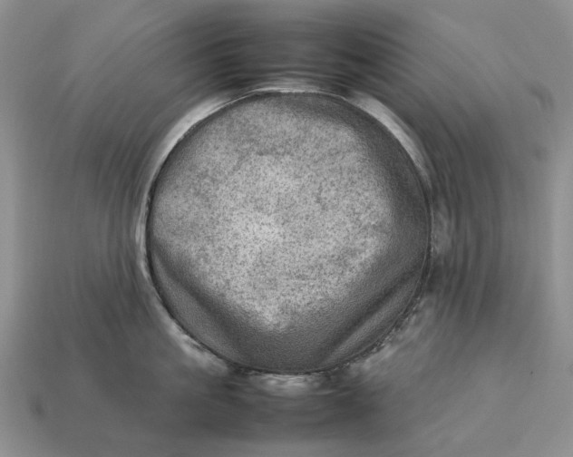 X0000112770861200909101550