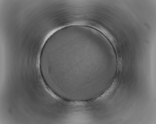 X0000112770862200909101550