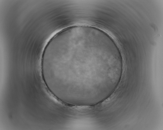 X0000112770864200909101550